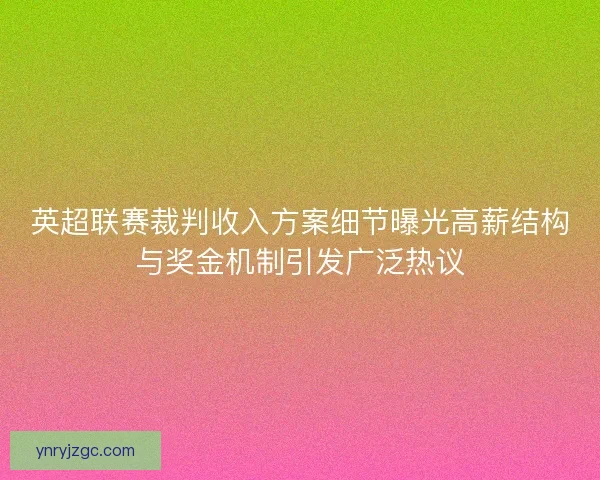 英超联赛裁判收入方案细节曝光高薪结构与奖金机制引发广泛热议