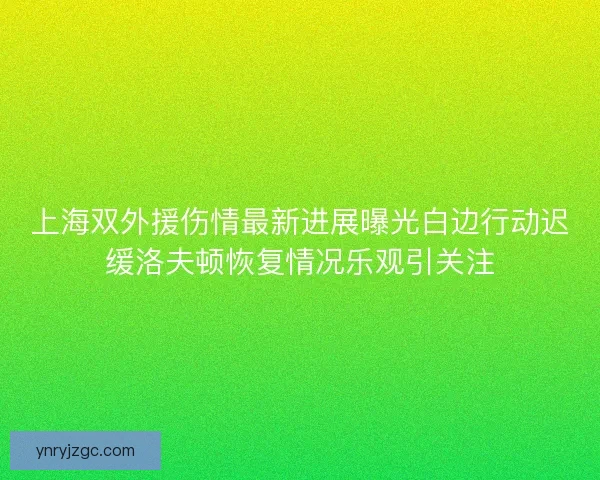 上海双外援伤情最新进展曝光白边行动迟缓洛夫顿恢复情况乐观引关注